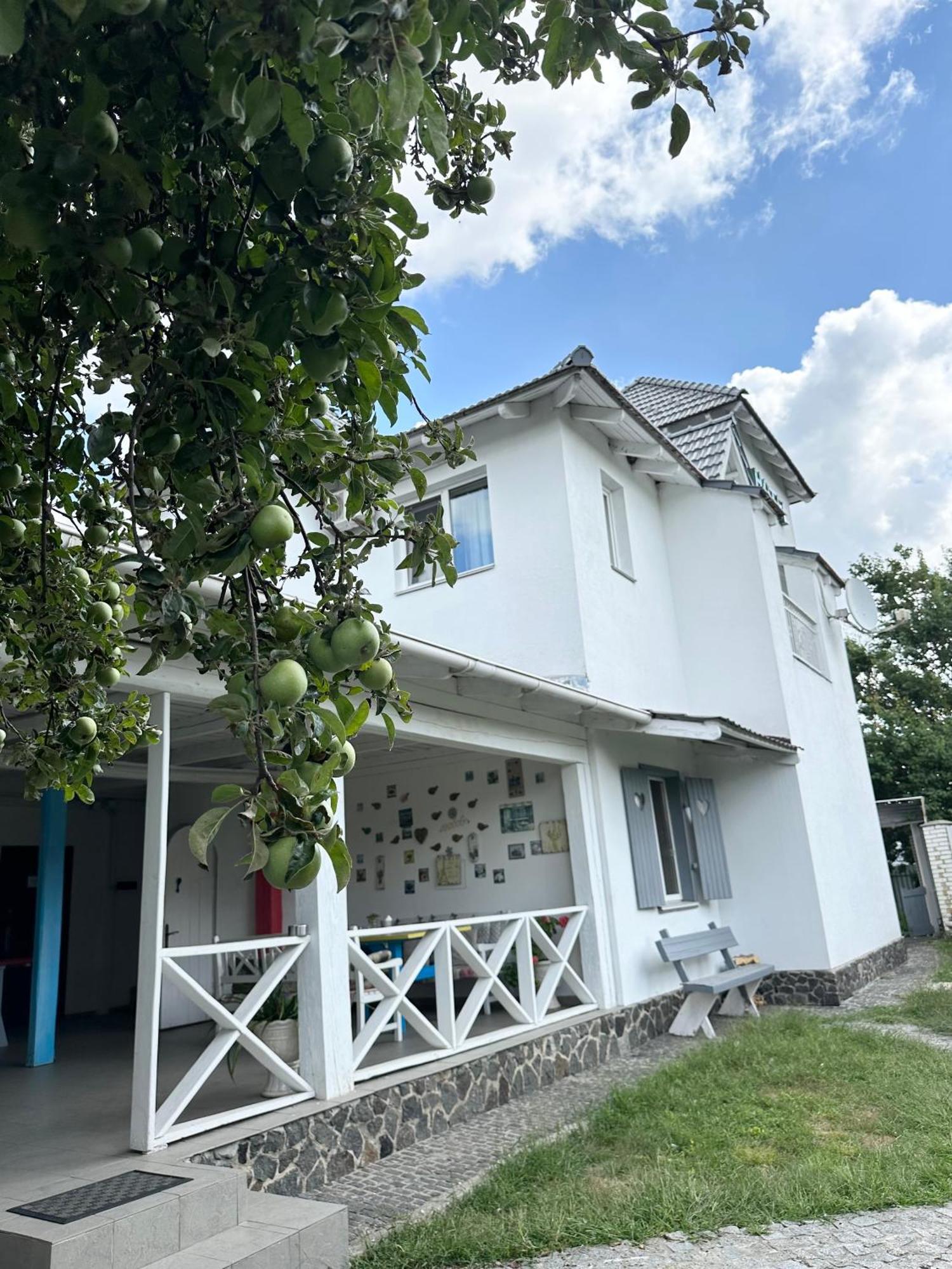 Maison Blanche Ecohousе Mytnitsa Buitenkant foto